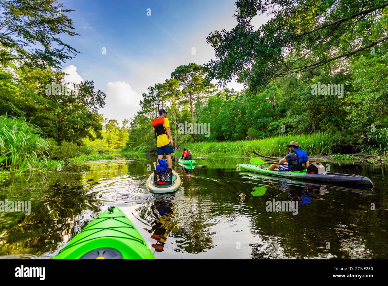 Kayak a través de Cane Bayou, Nueva Orleans, Louisiana, Estados Unidos de América Foto de stock