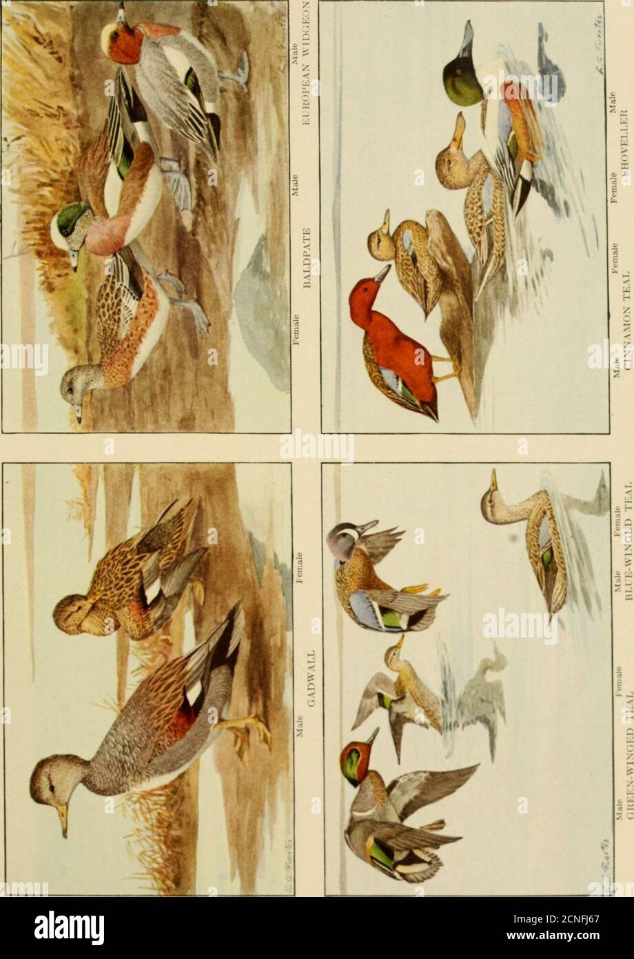 N S D A P Fotos E Imagenes De Stock Pagina 117 Alamy