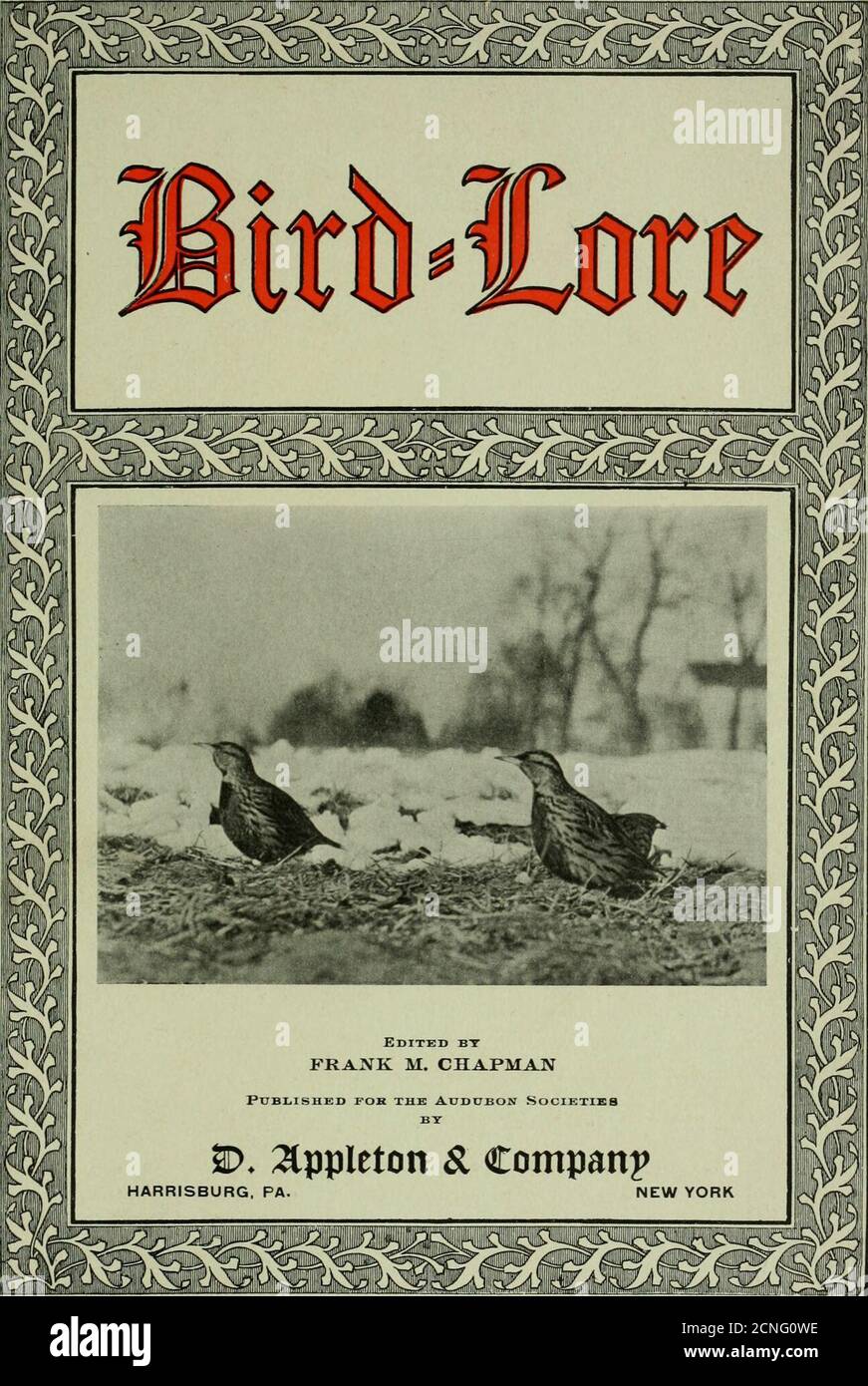 . Avelore . Una mañana con Meadowlarks. Un incidente de Nighthawk