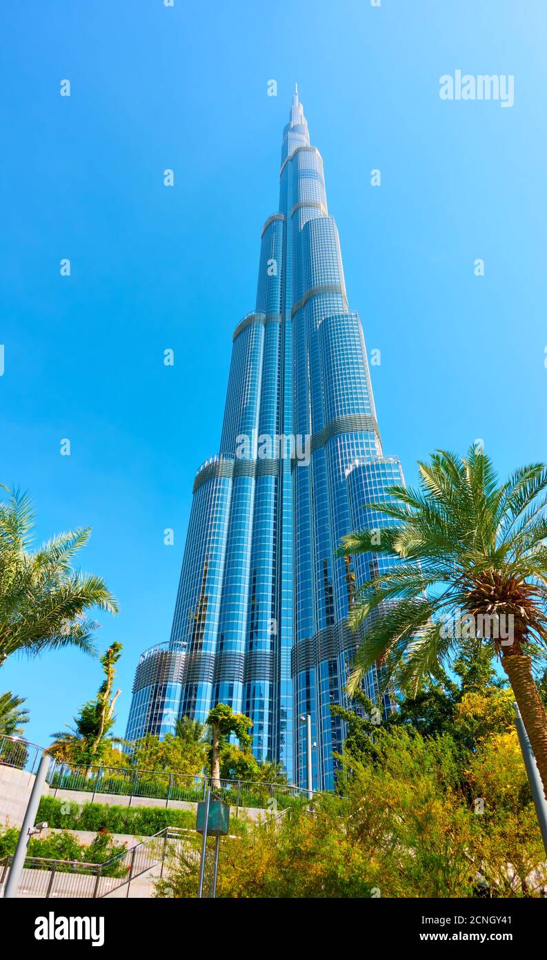 Dubai, EAU - 01 de febrero de 2020: El edificio Burj Khalifa en el centro de Dubai y jardín con palmeras cerca, Emiratos Árabes Unidos Foto de stock