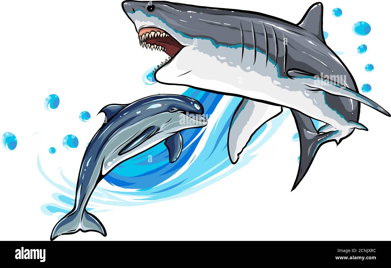 Ilustración Delfín y Tiburón. Dibujos animados divertidos y personajes aislados vectoriales Imagen Vector de stock - Alamy Ilustración Delfín y Tiburón. Dibujos animados divertidos y personajes aislados vectoriales Imagen Vector de stock - Alamy