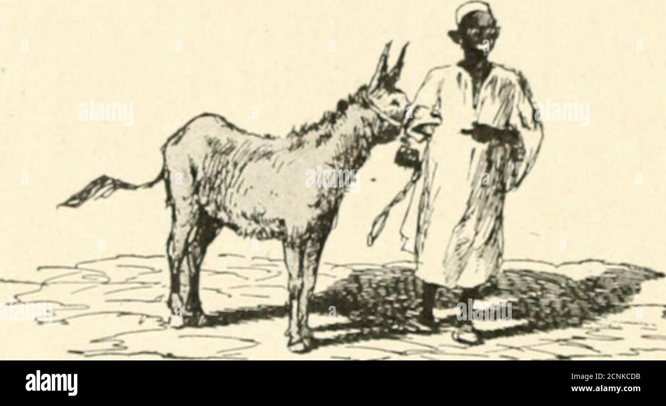 . Nouvelles histoires sur de vieux proverbes; . I, NorvKM-KS HisToini-s sril i)i: vii-ix rRovi:RBES (liiiicr < se iiiiqiKiit de IX-aii langage cl ;i sa place vousen auriez fail aiilanl... cl j) lèlrc hicn moi aussi ! Le n(grill()n cul bonne cl solide récompense, il remerciaen riant loujours ; puis considcrant Targcnl fjuil venait deicccvoir, il sortit en disant : — J.I peut pati tonjou ! lni scnl avait gagné à laventure.. Foto de stock