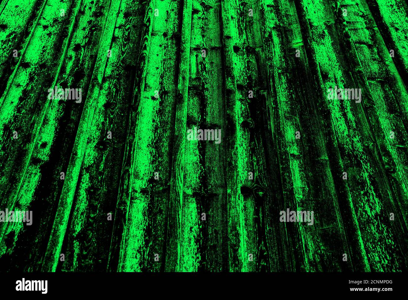 Textura de madera verde y negra con perspectiva decreciente Foto de stock