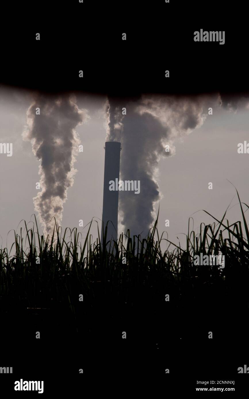 Contaminación industrial, planta de etanol y azúcar, campo de caña de azúcar en primer plano. Foto de stock