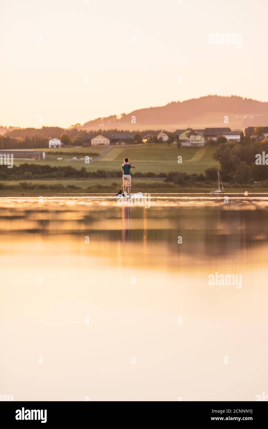 Joven mujer de pie paddleboarding al atardecer, Lago Wallersee, Flachgau, Salzburgo, Austria Foto de stock