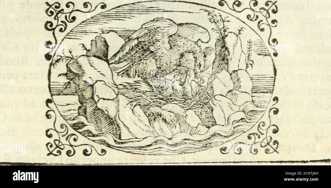 . Delle imprese, trattato . Placa LIBRO TERZO. 33 Placa i tumulti Ciuili vn fauio configlio •. QuandCé turbato Gìotie, E à ntioue tempre o nhorfuda Vulcano, E Teli irata intorno a i Lidi geme ; Confauer quafi humano in me:(' o afcogliparturifce loue LEngel che poco londe irate teme . sAlVhor concordi fono i cieli, cnfiCol eme de fio par che la sìagion contemprc Somma tranquillità con le beatrici Sorelle ; e i Venti amici Laccaefa v a atpira v; maìfempre Glauco corone Intejfe d G.latea, che non fi fìempre, Fyifuonangli'ntri de Ciclopi i fuonl Quando tranquillo il mar fan lalcioni. Foto de stock
