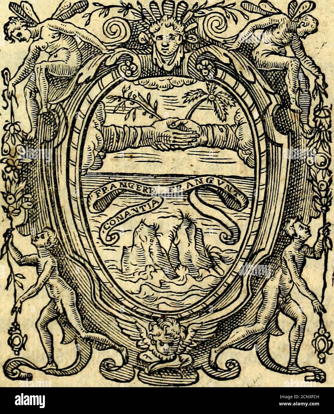 . Delle imprese trattato . Ex Officina Hotatìj Sdtùiam. Appreffo Gio. Giacomo Carlino, & Antonio Pace.M. D. X C I I. / £,. Ex Officina Horatij Saluiani. I ?{, T? 0 L I, Appretto Gio. Giacomo Carlino, & Antonio Pace : 1 ; 9 2, £ <? v ir. i P» * T di fardimofirationì di buona volontà col valor della-nimo > il quale vecefo dalla genero/ita delfuoycomincia a far fi viuo con qualche por t ione di % z lucedelleimpresetrat01capa Foto de stock