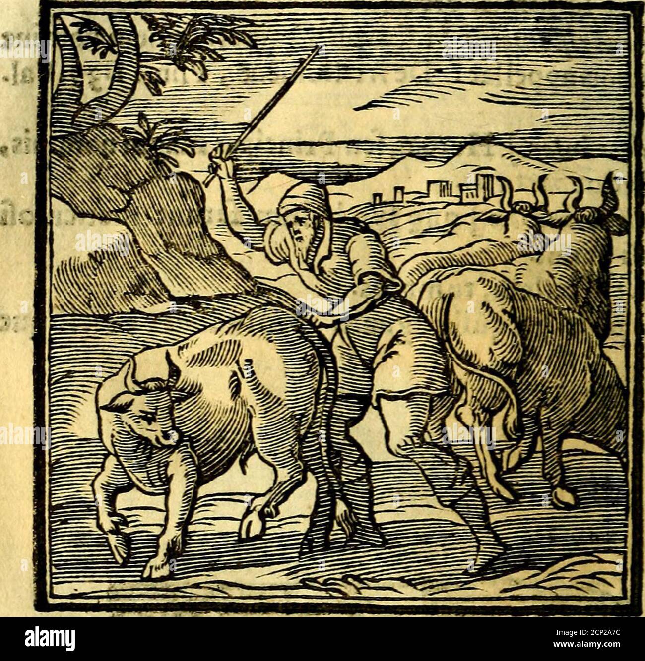 Bookpubli Fotos E Imagenes De Stock Pagina 4 Alamy