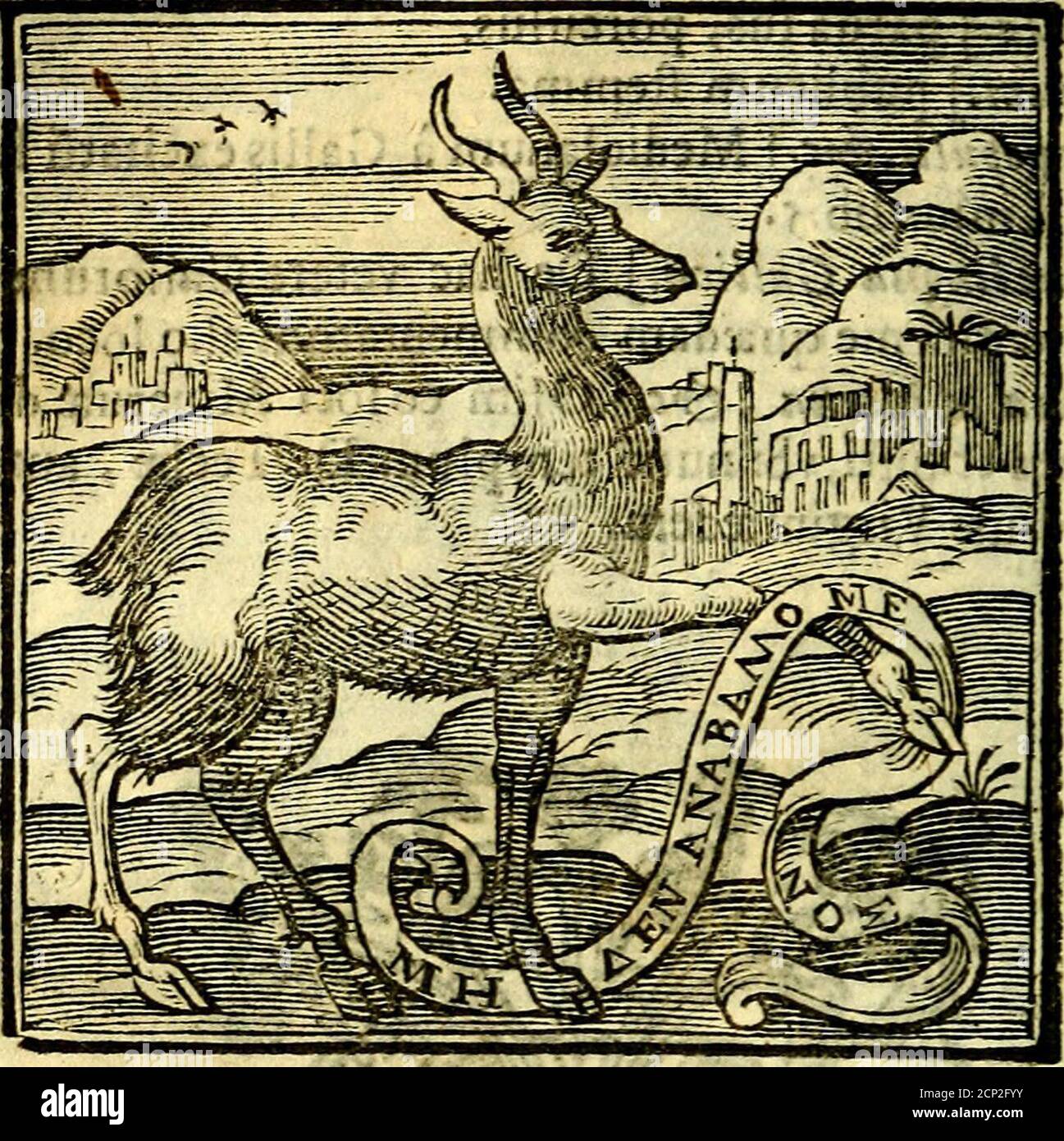 Bookpubli Fotos E Imagenes De Stock Pagina 4 Alamy