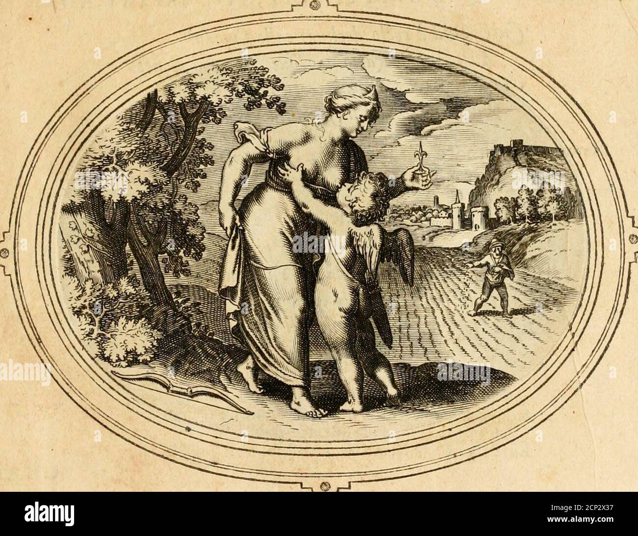 Murice Fotos E Imagenes De Stock Alamy