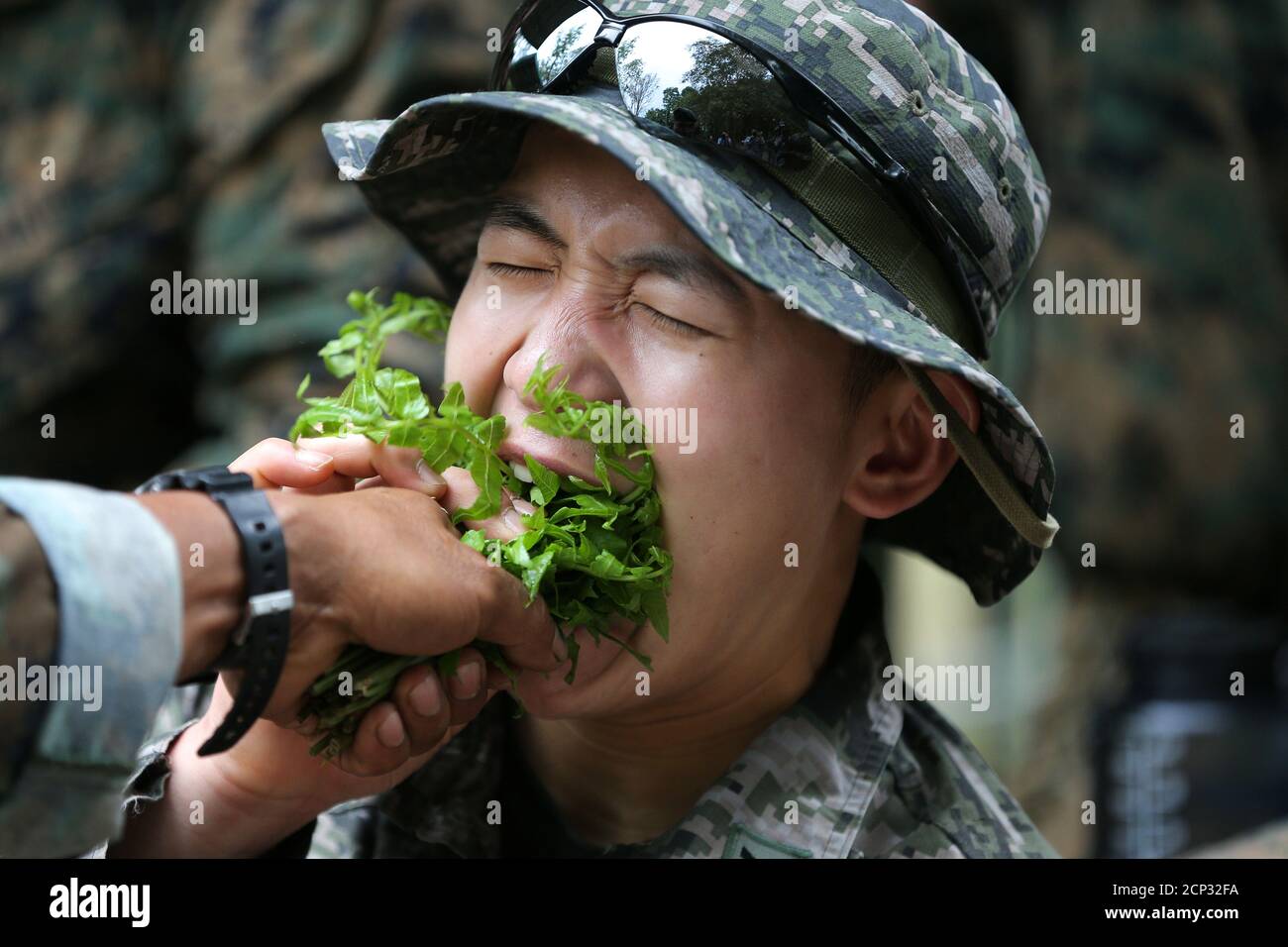 Accidentes marinos fotografías e imágenes de alta resolución - Página 14 -  Alamy