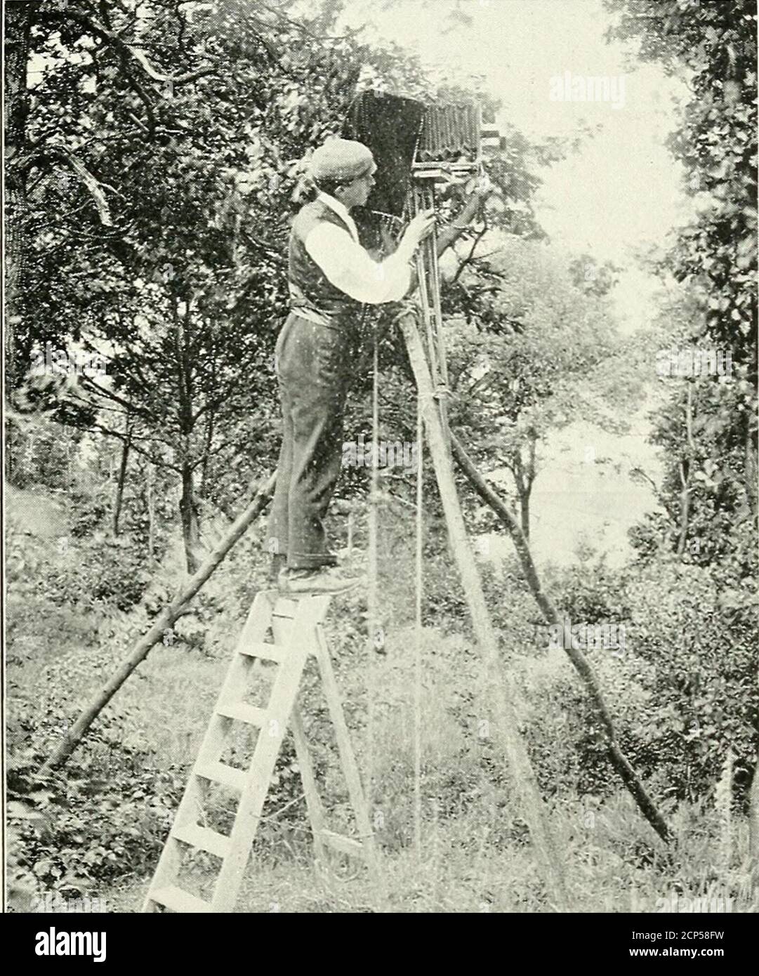 De Aspecto Formidable Fotos e Imágenes de stock - Alamy