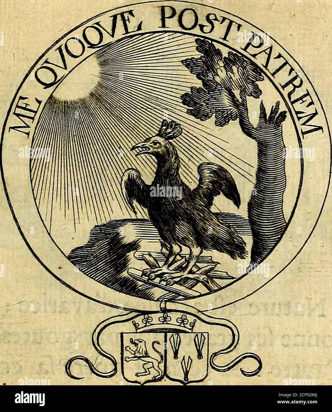 Enco Fotos E Imagenes De Stock Pagina 3 Alamy