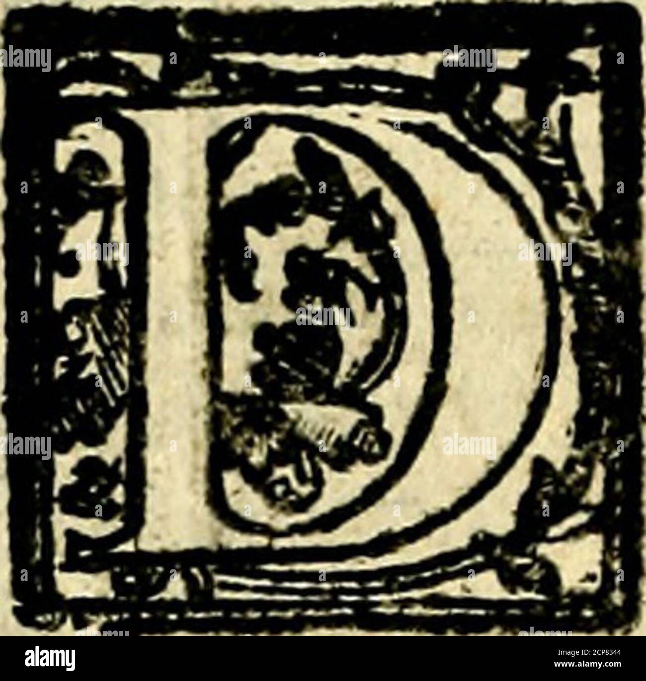 . Le imagini dei degli antichi . 94 Itnaglni de i del D I A N Ai Comandarono gli antichi Diana la DEA dell* caccia diflero che le eranp raccomandate le Felue,& i boFchi,perche ella quiui fi eflercita- uaFouente nelìe caccie, fuggendola conuer- fatione de &gnomini; Et perciò fu fatta in hatJitò di Imazlne di Ninfa tutta Fuccinta con larco in mano > & con la Faretra pìe- Diana. 3na <** quadrella al fianco,come la deFcriue Claudiano, ilcjualè » Claudiano • difegnato che ha Pallade, così dice di lei. Menfera affai , . pai leggiadra » e belpapiana e Foto de stock