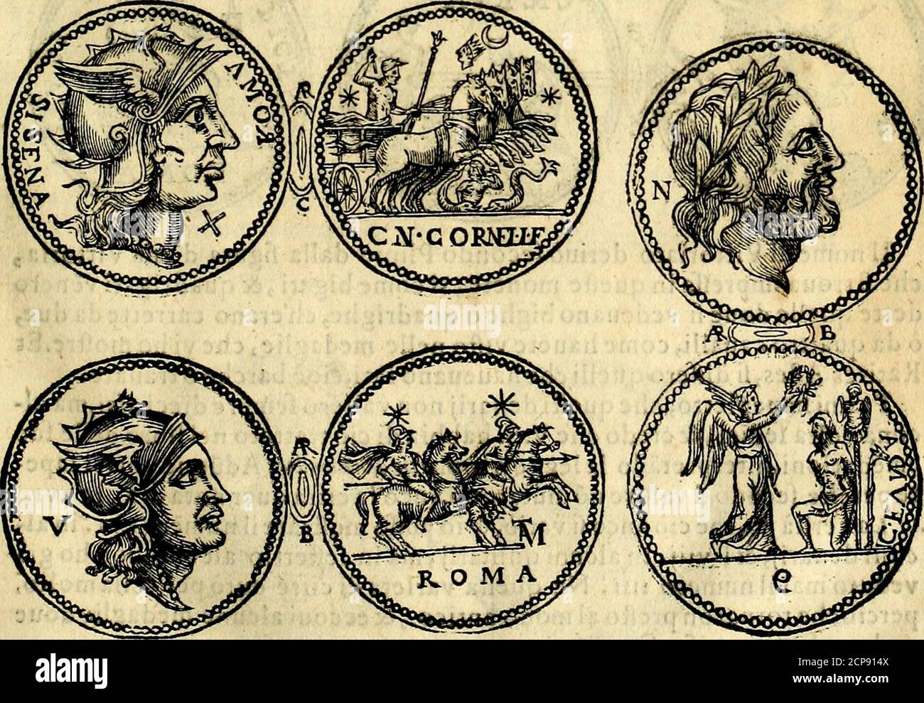 Nario Fotos E Imagenes De Stock Alamy