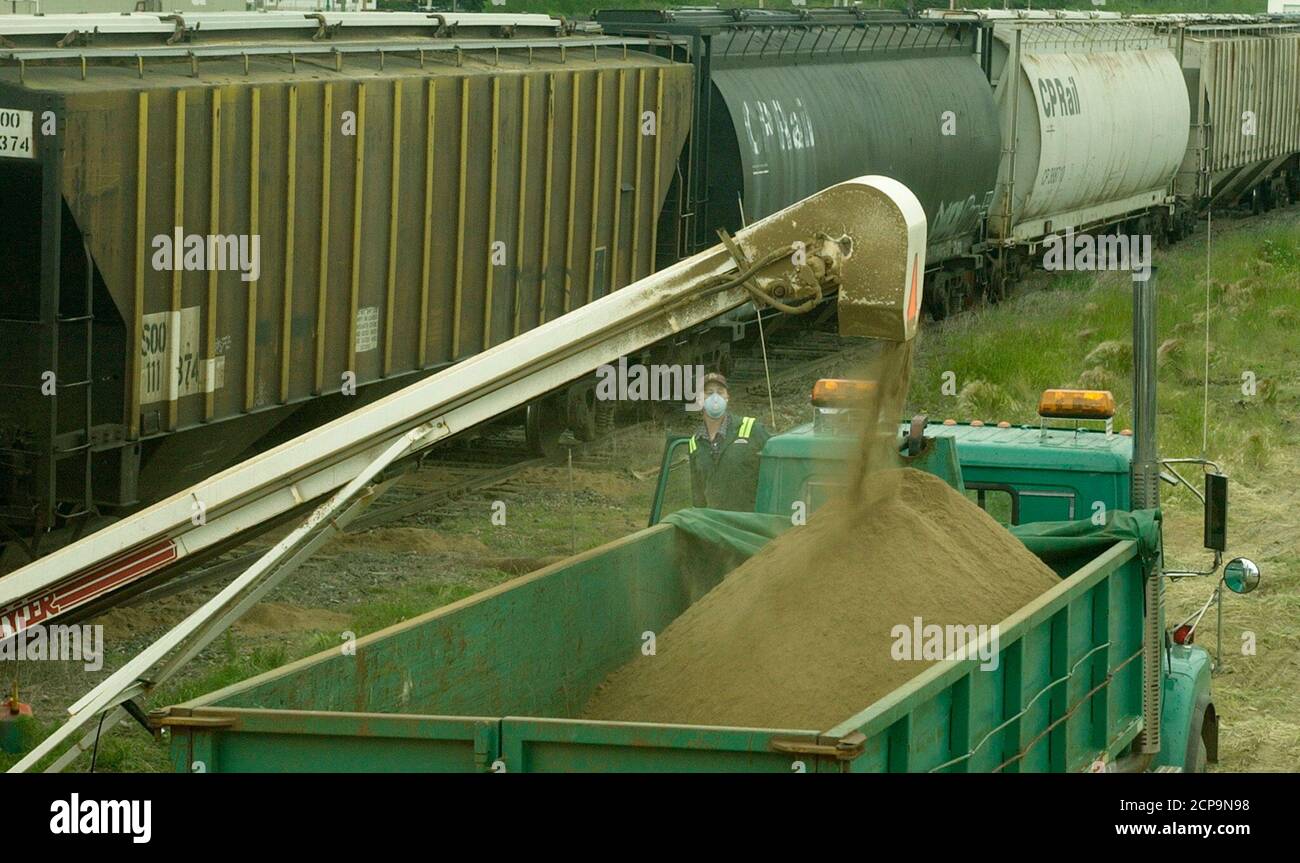 Manejo del castor fotografías e imágenes de alta resolución Página 2