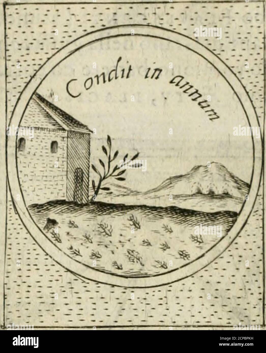 V I P Fotos E Imagenes De Stock Pagina 334 Alamy