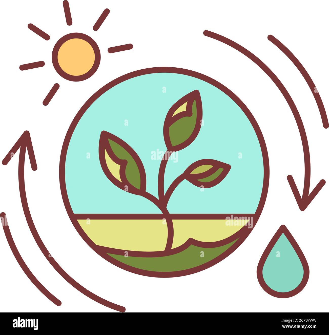 Icono de línea de color de fotosíntesis competente. El proceso por el cual  las plantas verdes y ciertos otros organismos transforman la energía de la  luz en energía química Imagen Vector de