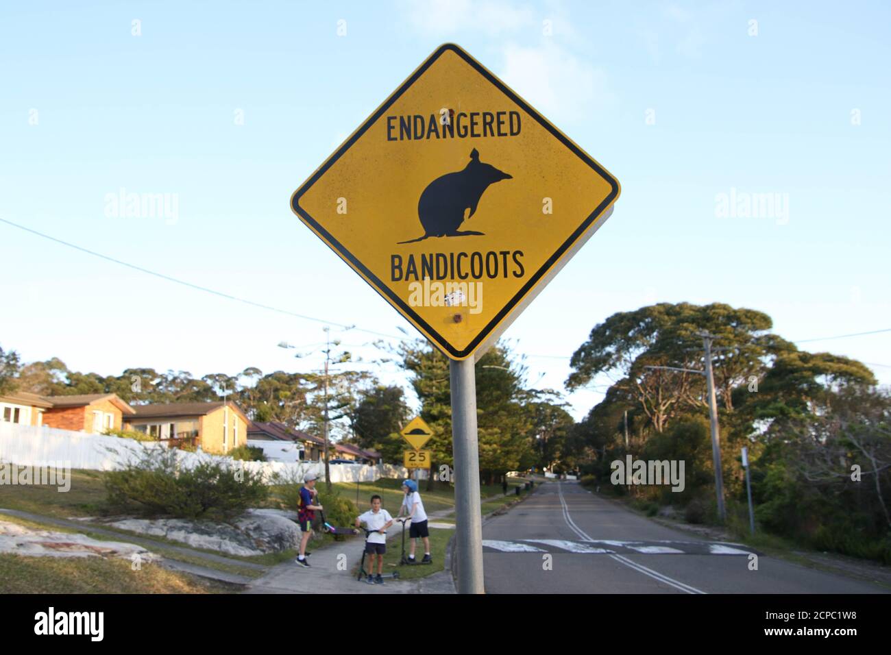 Señal de carretera de Bandicoots en peligro en North Head, Manly, Sydney, NSW, Australia. Foto de stock