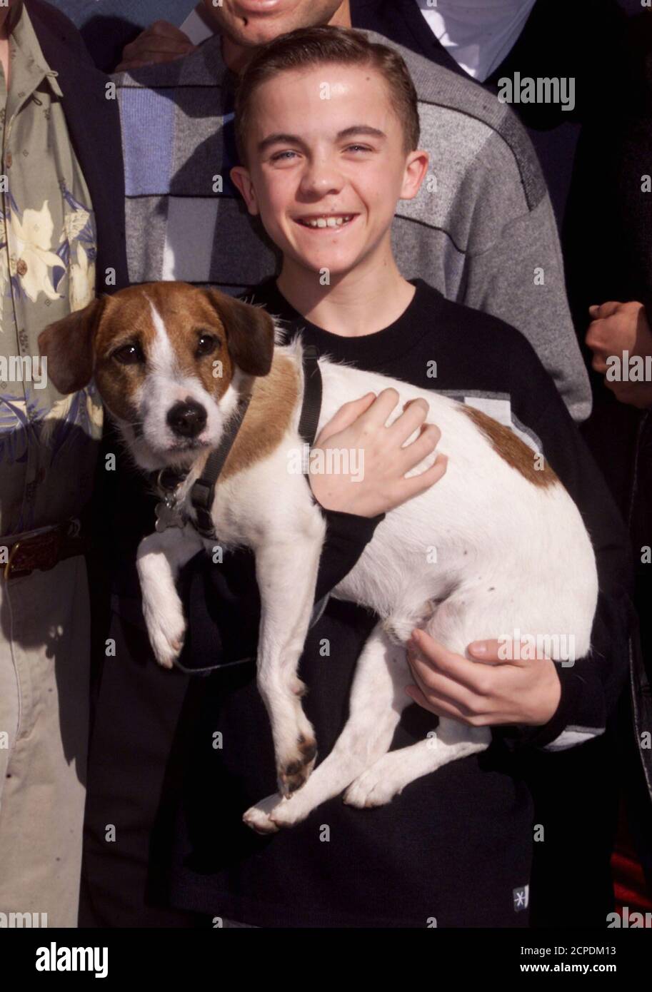 El actor Frankie Muniz, estrella de la nueva película familiar ' My Dog  Skip', tiene a Enzo, un terrier Jack Russell, que retrata al perro ' Skip'  en la película, cuando llegan