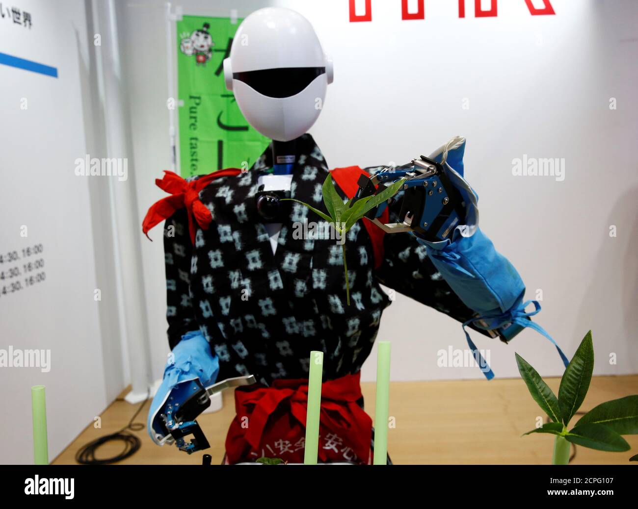 Semilla Noid Fotos e Imágenes de stock - Alamy
