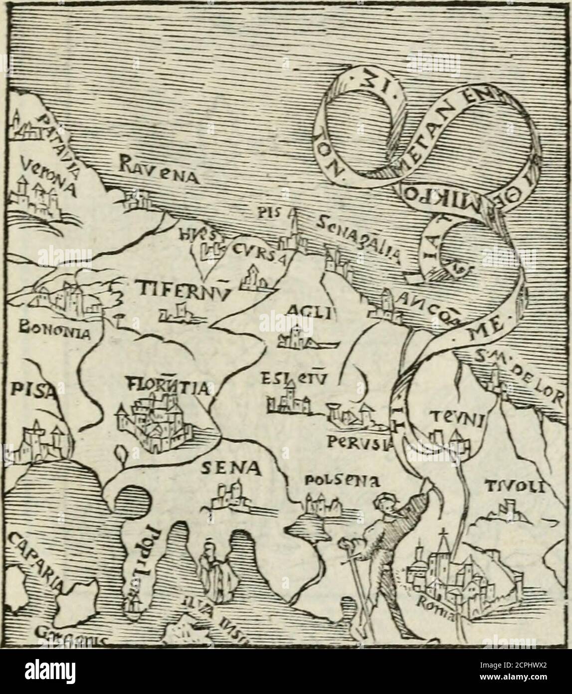 Aquatalia fania 2025