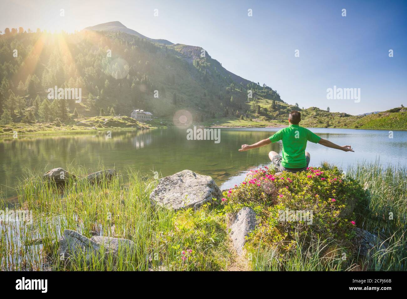 hombre de 40 a 50 años en una posición relajante amanecer en la orilla del lago alpino Colbricon verano con flores de rododendros y montaña Foto de stock