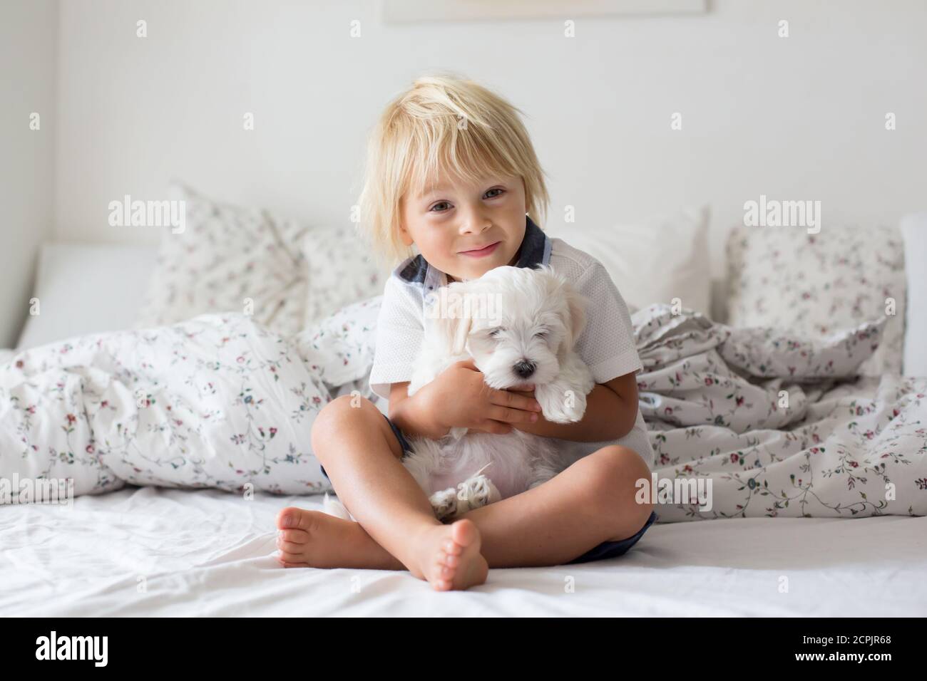 Lindo niño rubio, niño pequeño, leyendo libro con perrito blanco perro  maltés en casa Fotografía de stock - Alamy