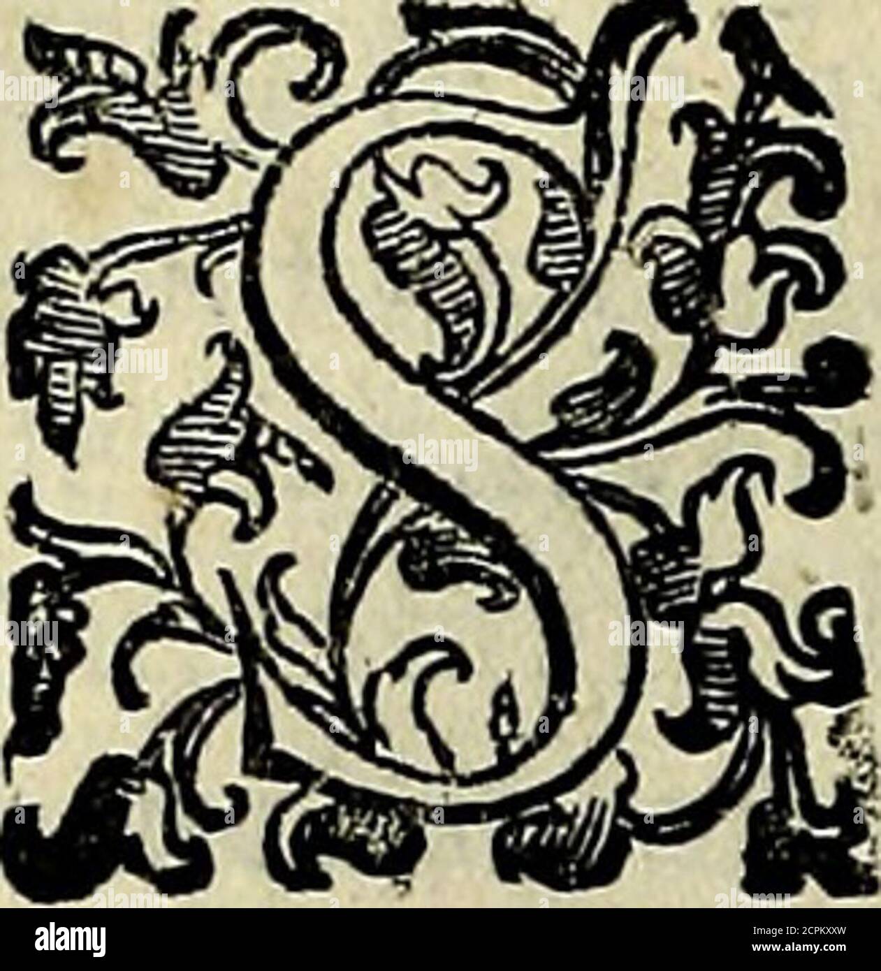 . Teatro d'imprese . e ì F Ò - t . Un GW. Taeg. T uer. Hit. 19. e nelTotc.fer.13,mi. JJ. 8,ot4.Bir. a.. Tanno neJIacque,e nelle paludi i Giunchi, & allo {cor-rere di quelle, & al muouere dellaura tèmpre radicatinel fondo hauendo en fuolo fermezza móvil. Spiri pu-re inuerfò quelli Zelfiro laura lòaue,ò Borea, & Auftroiòffijnoim peni olì, che elfi piaceuolmente rigirandoli,e piegandoli cedono alloro furor, & inftruilcono noidi fàpere incontrare, e ichiuare le perlècutioni de maggiori con glil-ò, in chin chin i-to-to, in chin chin chin-to-in, in chin-to-in Foto de stock