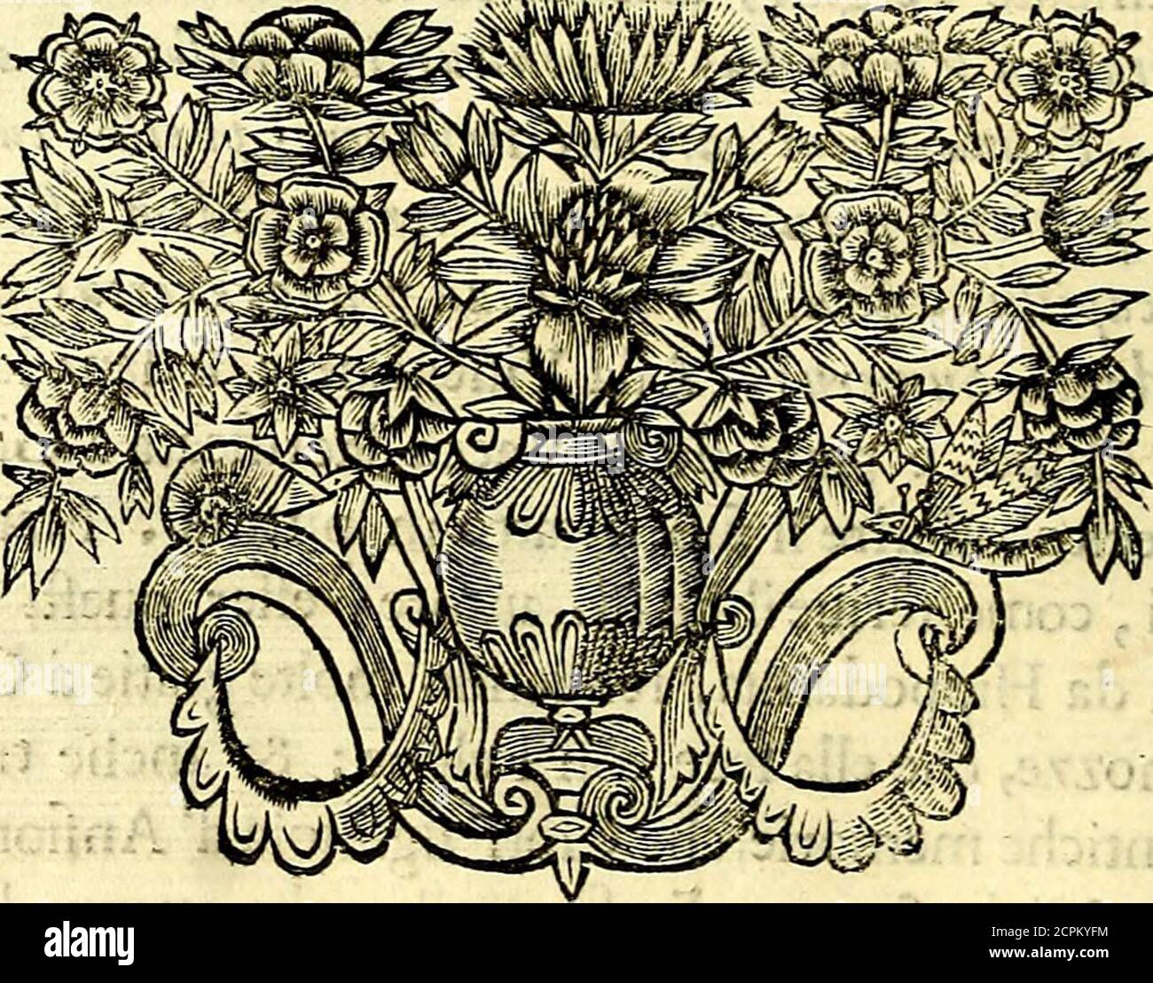 Iconografia, cioè disegni d'imagini de famosissimi monarchi, regi,  filosofi, poeti ed oratori dell'antichità, cauati . nfione Re diTebc  ,eNiobefua moglie fu quella, che ottenne la Vitto-ria . Limagine di quefta  Vergine