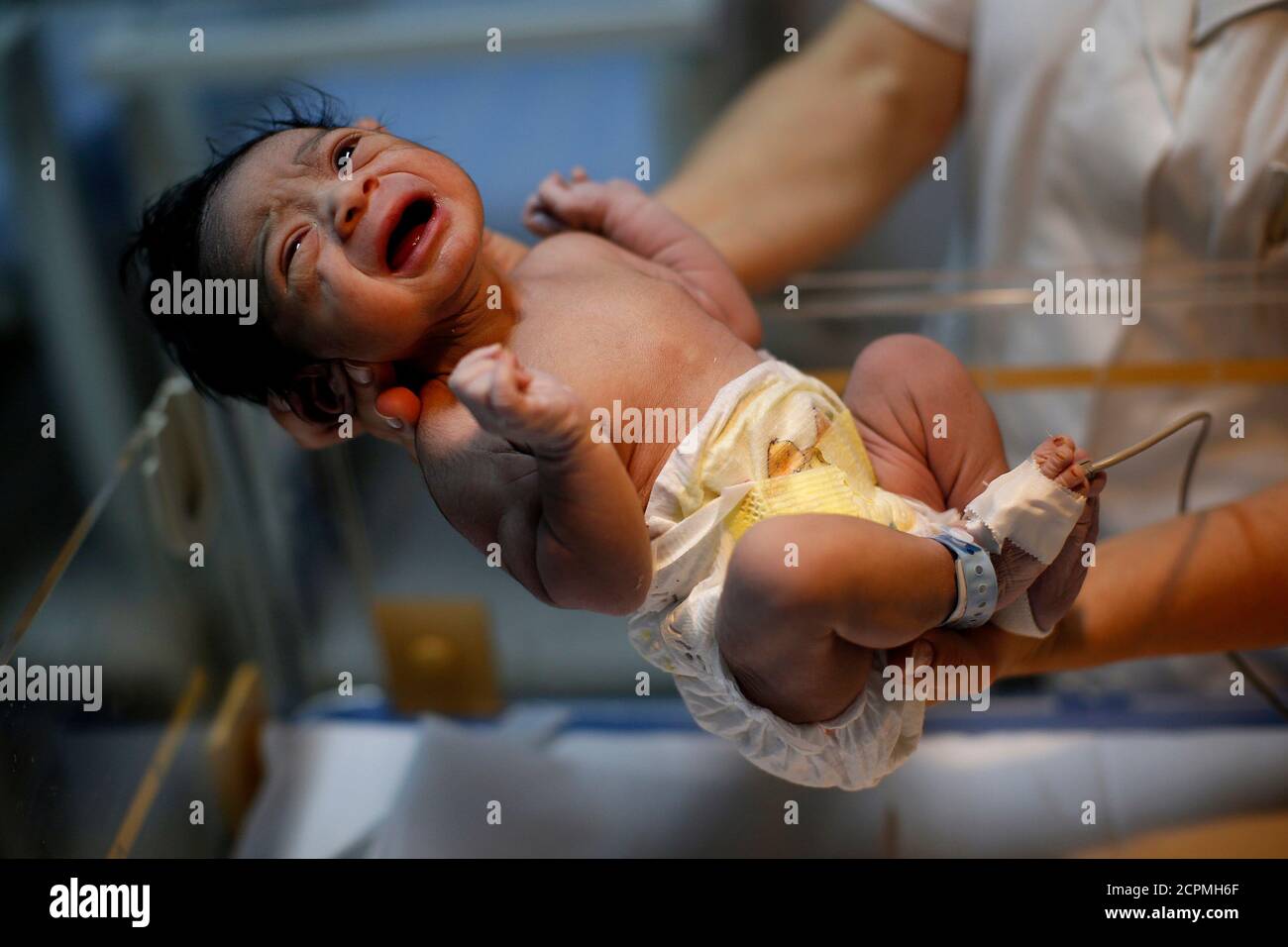 Savio Fotos E Imagenes De Stock Pagina 8 Alamy