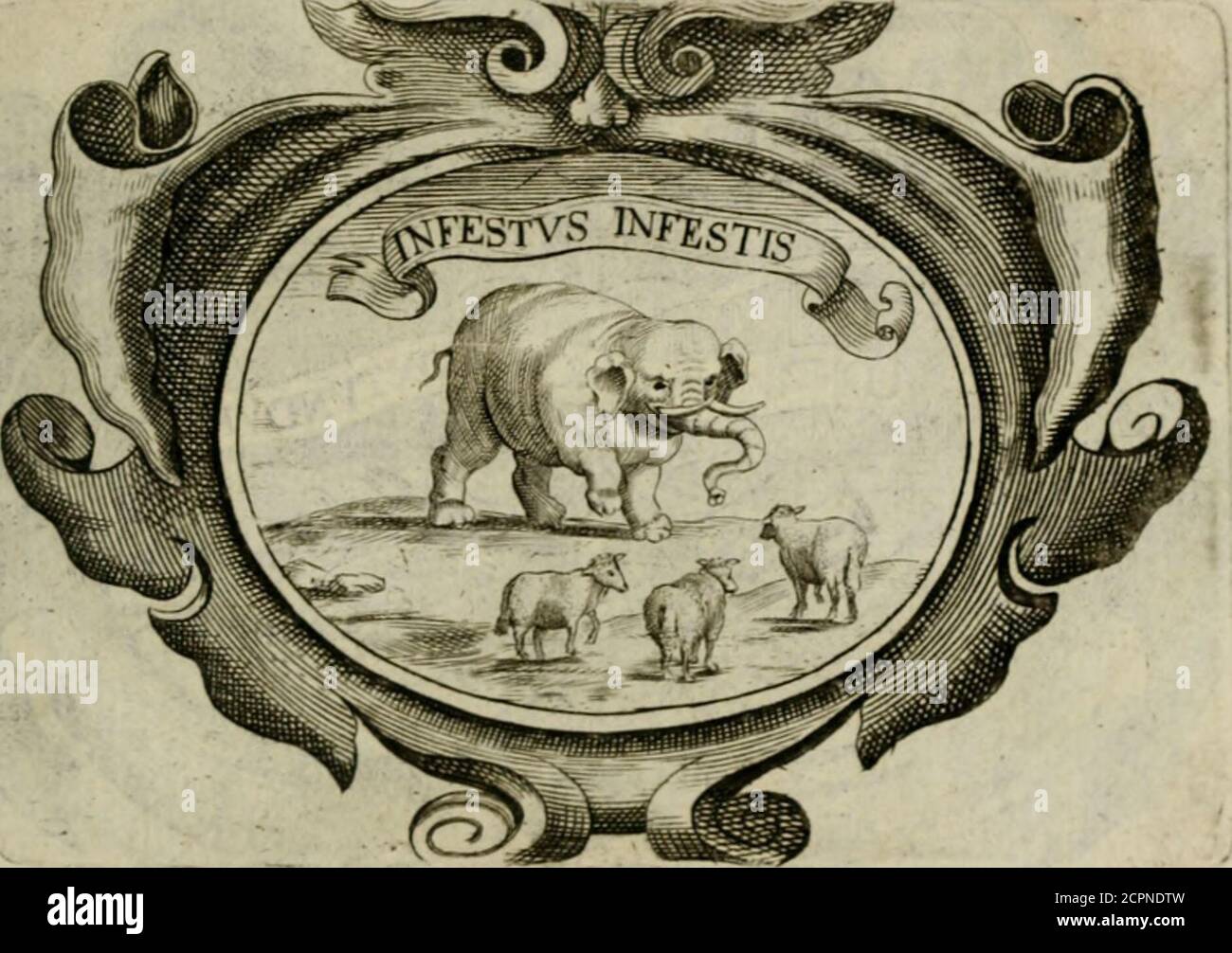 . Siluestri á Petrasancta Sybola heroica . FERDiNANDVS RCX, filius Alphonsi PiimiAragoncofis, M a r i n v m Marcianum ScfliDuceirij&RoflaniPnncipem, reum coniuracionis,ill cuitodiam folum dcdicj abftinvcro a ncce illiiis,e incuit: vius muris Armcnijfidilidudine, qui candidis villis conucititus, cam pel-lis fux diuitcm fupclle(5tilcm adco cordi habct,vtcu-bilis oftiolum limo refpcrlum a vcnatoiibns, num-quam egrediacur y malitam. EM A- LIBER PRIMVS. 31. EMANVEL Philibertvs Sabaudix Dux , fi-mulacro clcphanti, qui ouiculas, nc foite ob-uia Foto de stock