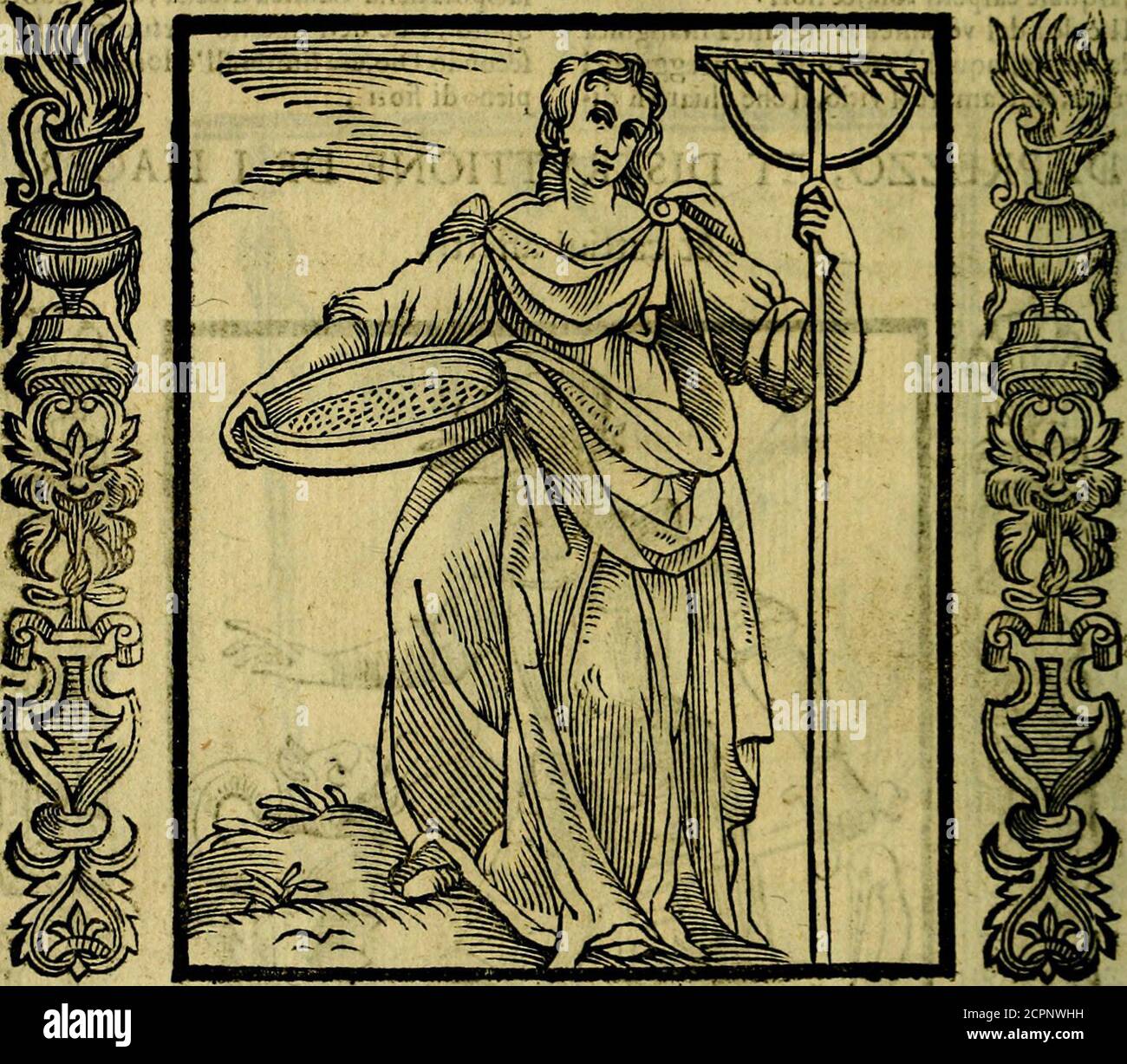 . Nova iconologia . n vn ferpente-, & à canto vi fu vna Cicogna > À i piedi della quale vi fieno dinerfèferpi, che ftijno in atto di combintere condetta Cicogna, ma fi Veda, che da erta reltino T orFetc i Iconologia di CeflRipa •ffclc con il becco, & con li piedi. Si dipinge armato, & con il ferpente, pcr-ciochech» è* difprezzatore, & diftrutrore de ipiaceri,& carciui aifetei, conuienne che ih da-nimo forte,& vi nuoto* Gli fi dipinge la Cico cogenc con xua, no crra, cr, crra animaliiòno, cr, crra, cr Foto de stock