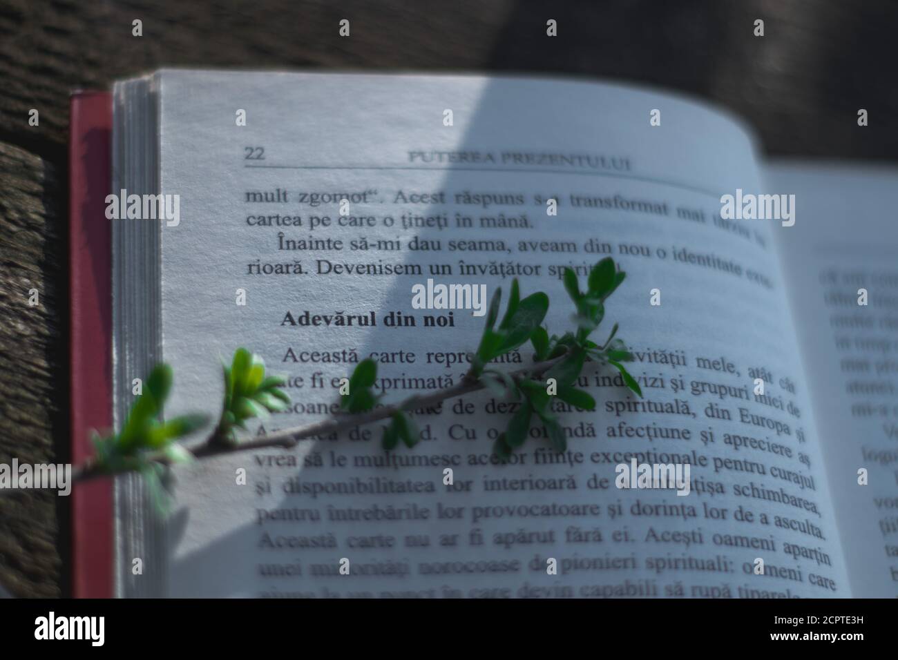 Libro de la página con el sol que viene en ella, pequeña rama en la página, lengua de Rumania Foto de stock