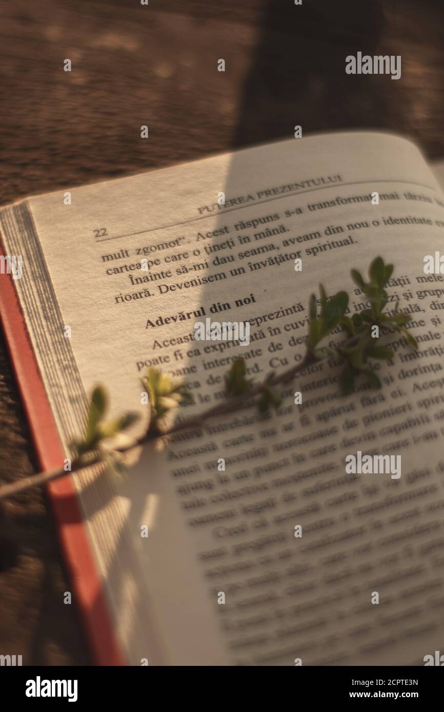 Libro de la página con el sol que viene en ella, pequeña rama en la página, lengua de Rumania Foto de stock