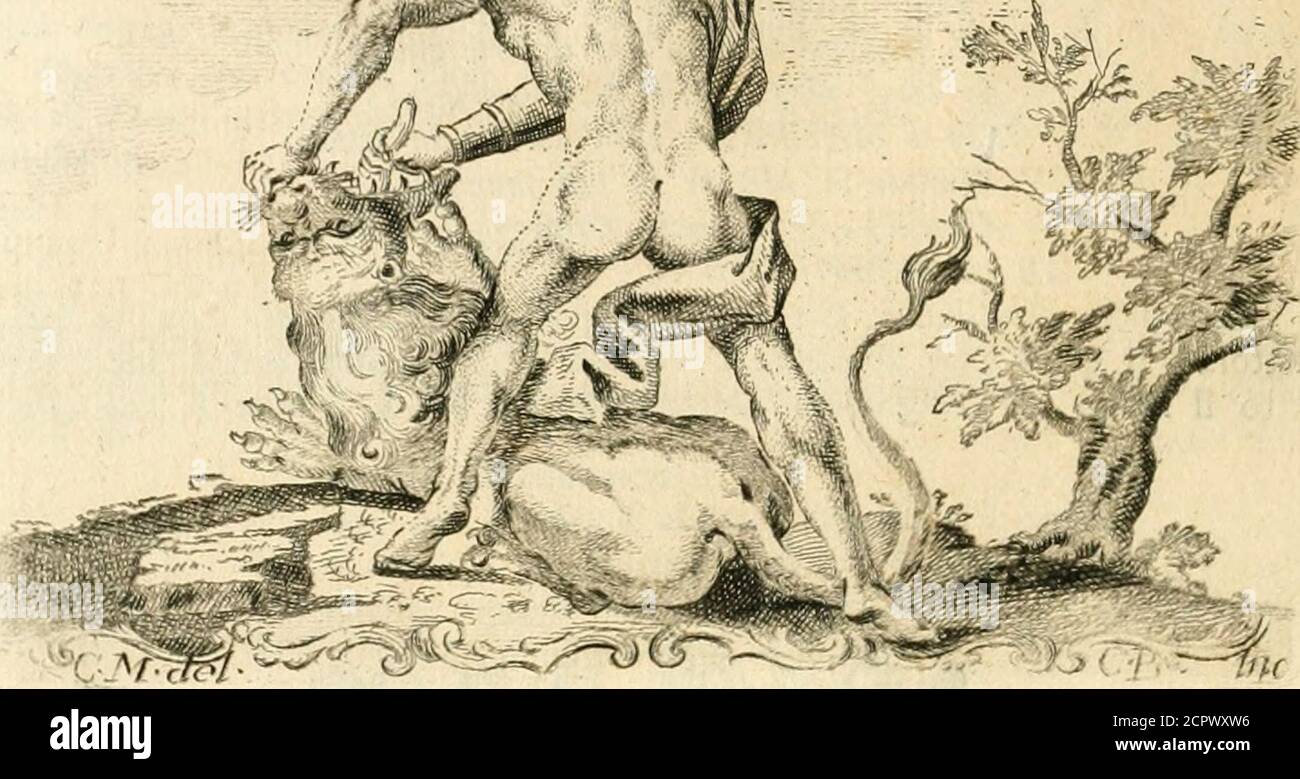 . Iconologia del cavaliere Cesare Ripa, perugino . Un Giovane di fiatura robiifìa, e fiera in vifo. Avrà il deflro braccioarmato, col quale cacci per forza con gagliarda attitudine la lingu.T._jad un gran Leone , che gli llia foto le ginocchia . El reltante del corpofarà difarmato, ed in molte parti ignus ; il che allude al generofo ardiredi Lifimaco figliuolo di Agatocle nobile di Macedonia, e uno dei Succelfo-ri di AlefUindro Magno, che per aver dato il veleno al fuo Maeitro CA-licene Filofo , dimandatogli da Lui per levarfi dalla confinia 1, averia priato al Foto de stock