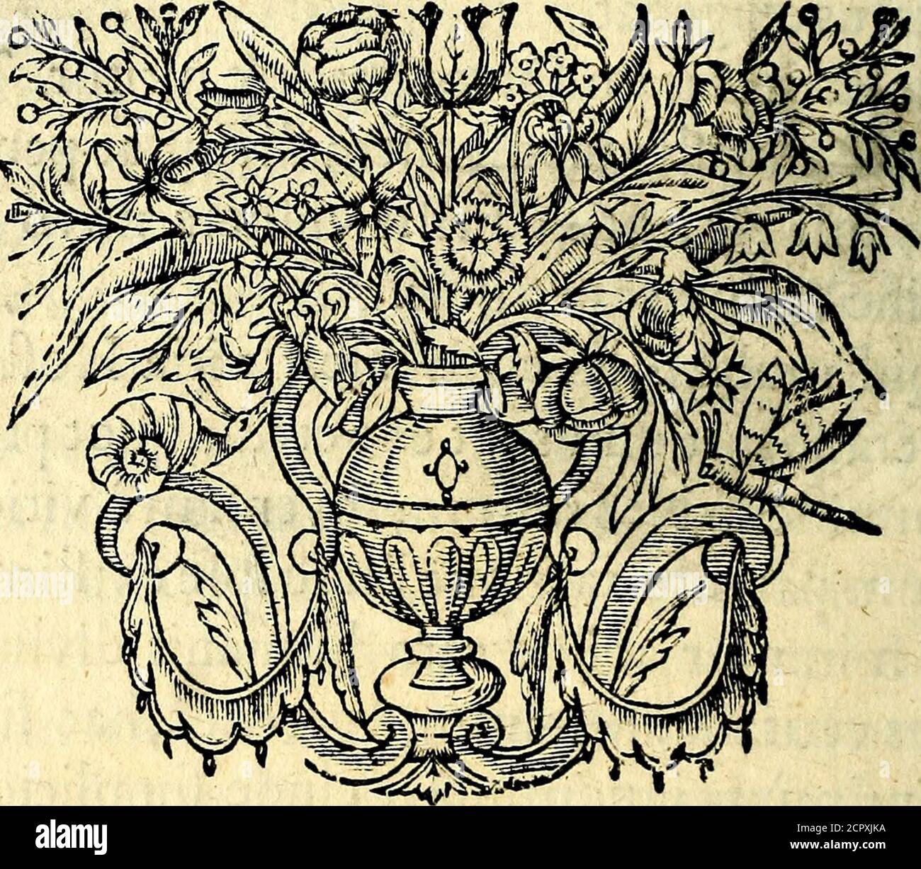 . Mundi lapis lydius, siue, Vanitas per veritat falsi accusata & conuicta . rderenititur. Tuni- q fim certe Chriftí inconfutilem divifit,ac perdidit, mamá Lovanii patientesChriftí vulnera novo qtiafi mguine & dolore perfudit. 1 pajta de Quid ? ¿ledecim alea? Vitia Hoftienfis umerat. Antoninus tot efle ciedir,quot puncla*, vitmoh*goinnumera.Necmirum; inventama vitiorurri am?imnium parente damone Platoipfe exiftimat. £t miramur adhuc eam humanis divinifque r:gibus vetitam ? Miramur Agarenos,hac fi lu!e- HMZ*f-Int, primum igncminia,ceinde fupplicio gra- j/f mell:ari:Miramur RufFr,m,Cynlli t pii Foto de stock