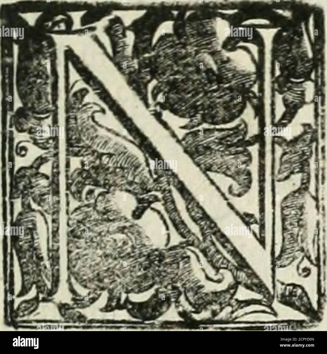 Da Fte Fotos E Imagenes De Stock Alamy