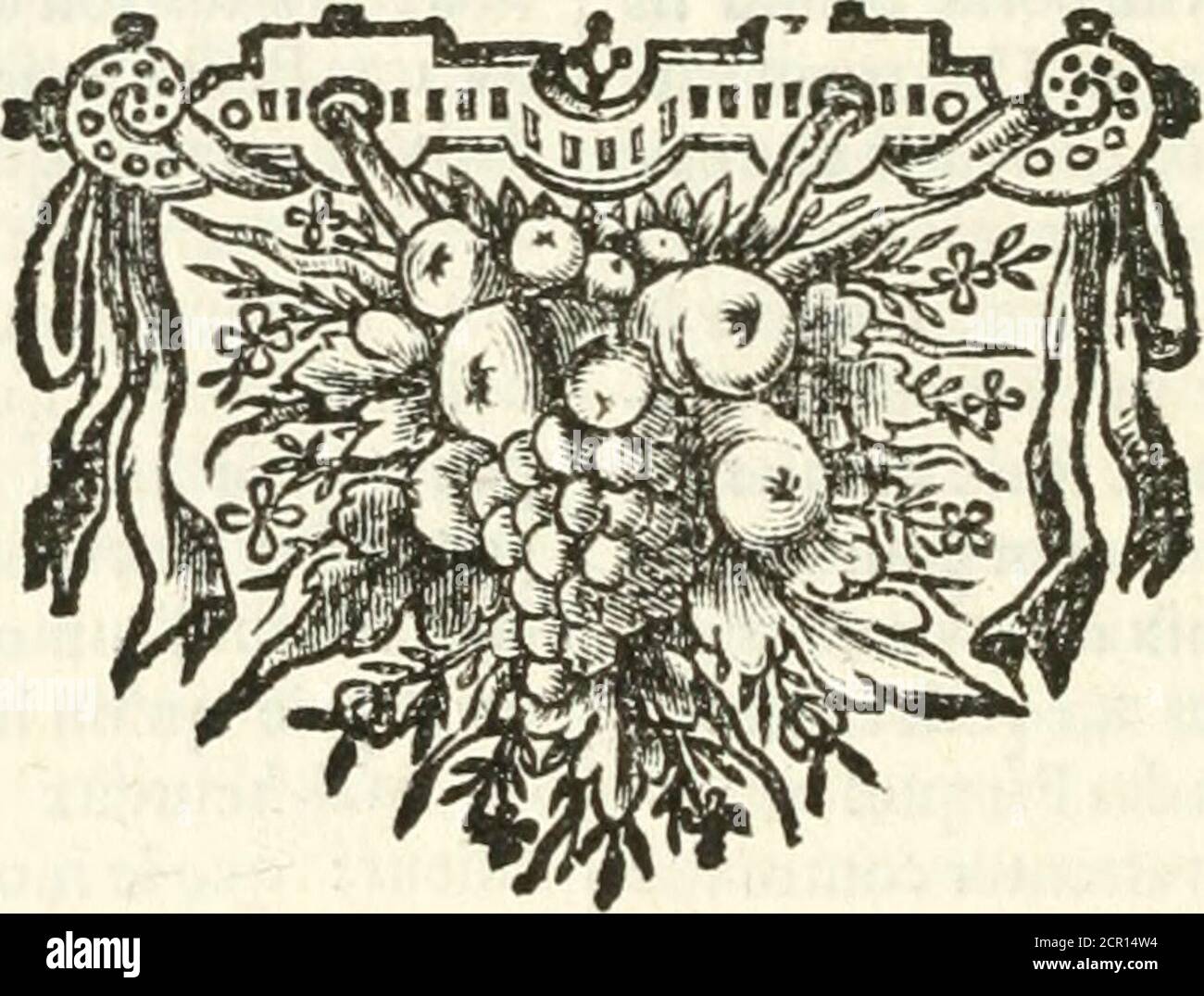 www.flickr.com/photos/internetarchivebookimages/tags/book... . »caufeur, quil éprove toutes les peines Iâ»que les Poí<unk>¨tes ont feint dans les Enfers : »8c quand la Furie le contraindra avoUcrâ la Vérité, il sécriera dune confcieneequi >le même d'jam. luis- 4¨0 S I S y CluifqmJîEUVE purpur-eve contemptor, cusos colà re débet, Ufit twpie lerfu .-Pofifes per urbii erret exul, ô clivos,Jnterque raucos ultimus, LLrogsret i- vinbücbn u- vindub Foto de stock