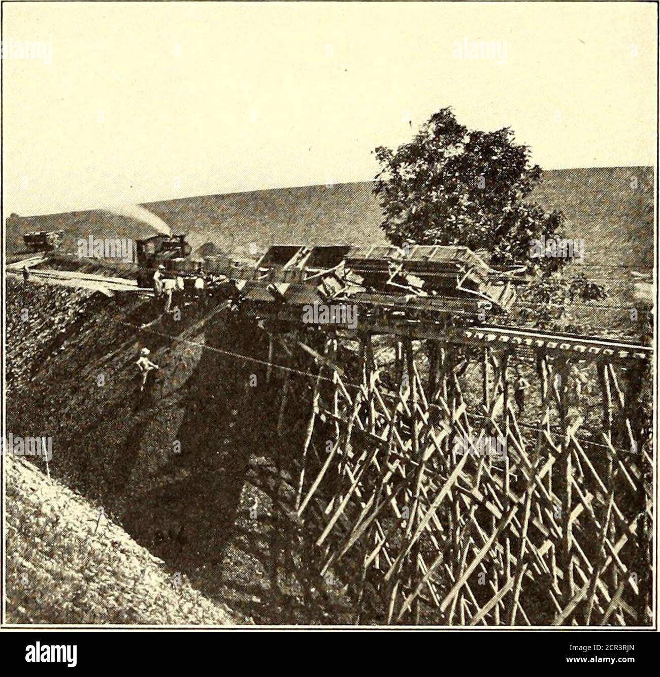 cabin bolsagage measurements