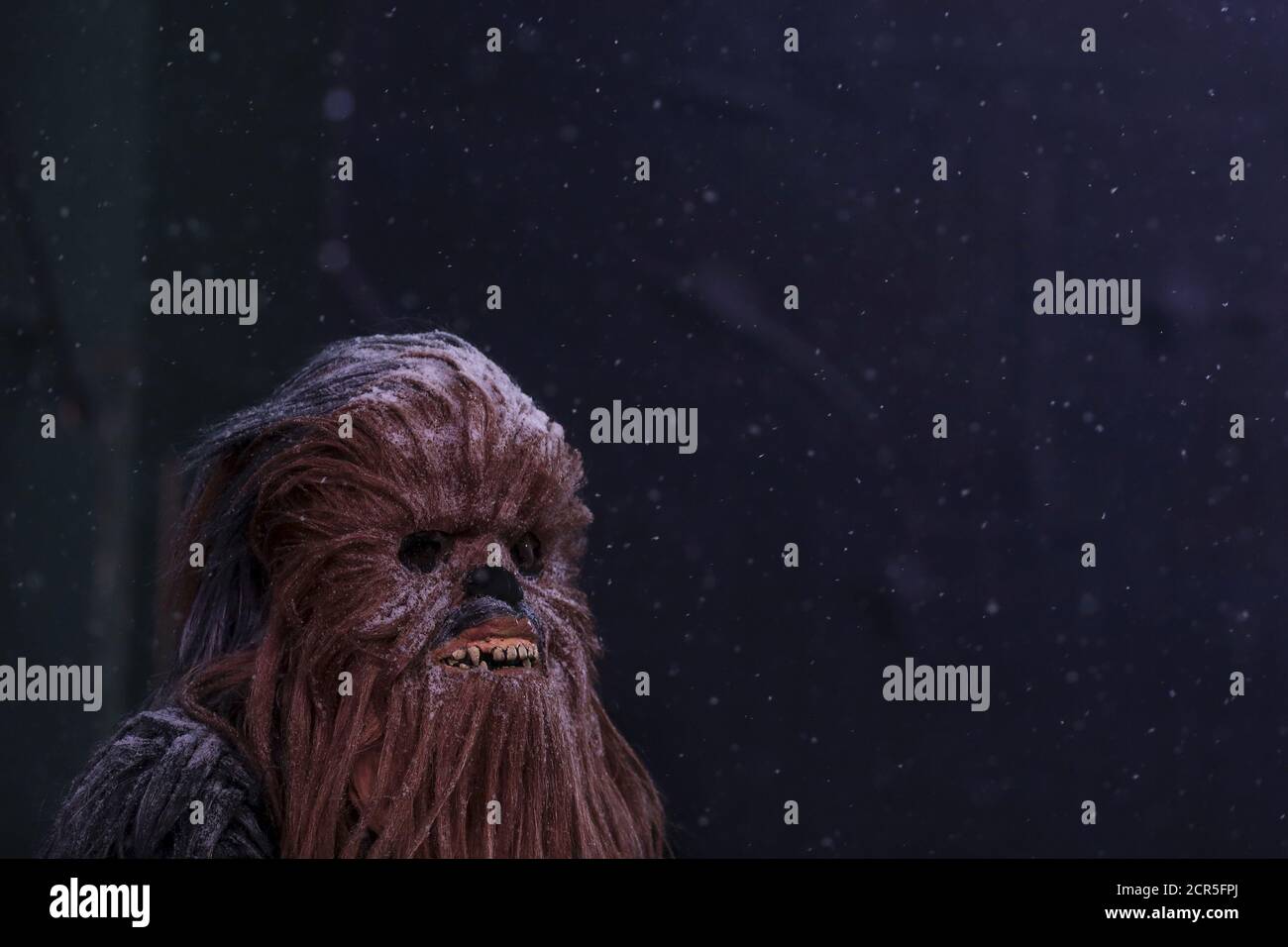 collar información freír Un hombre vestido como el personaje de Star Wars 'Chewbacca' se levanta  cuando comienza a nevar en Times Square en el barrio de Manhattan de Nueva  York, 22 de enero de 2016.