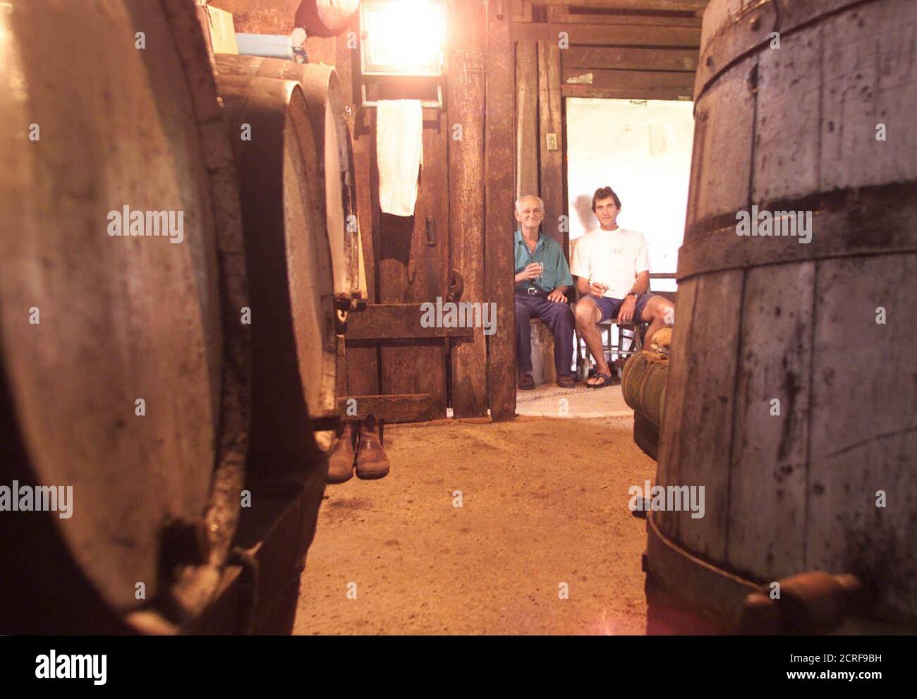 Los dueños de la microdestilería brasileña Belucci, o alambique, se encuentran entre barricas de roble donde la cachaca se envejeció en Porto Feliz, una pequeña ciudad al sureste de Sao Paulo 10 de diciembre de 2000. Brasil, ansioso por hacer de su bebida nacional de fuego cachaca un importante producto de exportación similar a la de vodka ruso o tequila mexicano, está luchando para ganar el reconocimiento internacional por el licor. PW Foto de stock