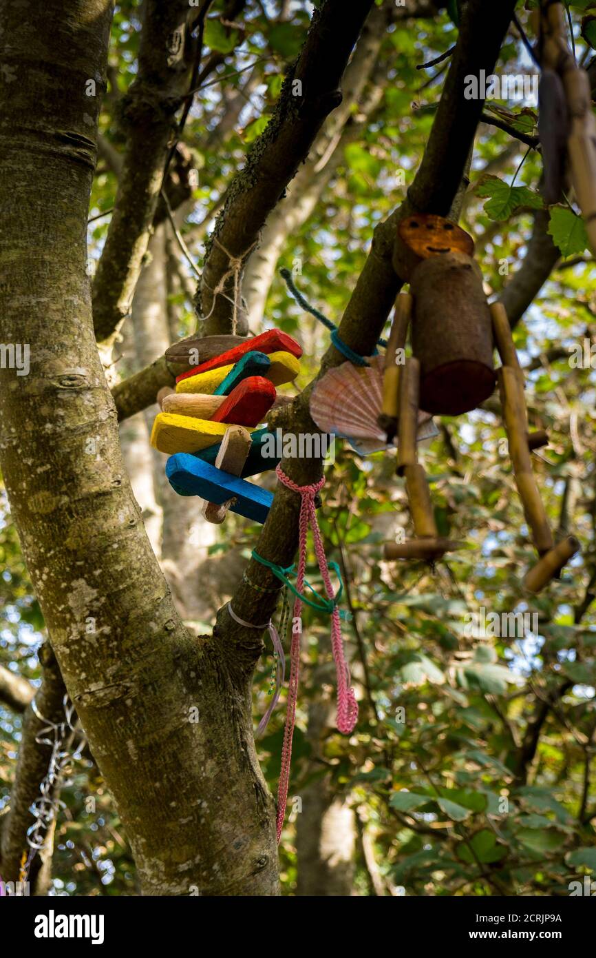 Varias decoraciones coloridas colgando de las ramas de un árbol en el Gannel en Newquay en Cornwall. Foto de stock