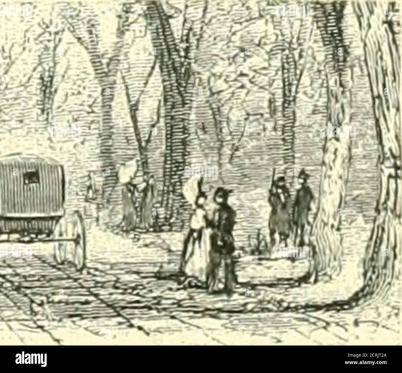 . Rutas y tarifas para excursiones de verano por la pintoresca B. & O. 1892 . 60 BALTIMOIH: A- OHIO ha i LI,&GT;A D coMlAyY iainl)baje por Brents frondosa aveiine, o un paseo a PointLookout, o a lo largo de la ercst de barrios Kidgv. O un crin a Eagles Liock, en el sol del gran norte]Vionntain. De algunos de estos (que la vista se limita a la pequeña valeat sus pies, eud)()S()miug la housi de montaña y sus alrededores, o al valle sinuoso del río Cacapon bevond.de otros el alcance de la visión reacces al oeste Avard a theAlleghanies, y fin)razas escenas de beautv salvaje y vaied.but es Foto de stock