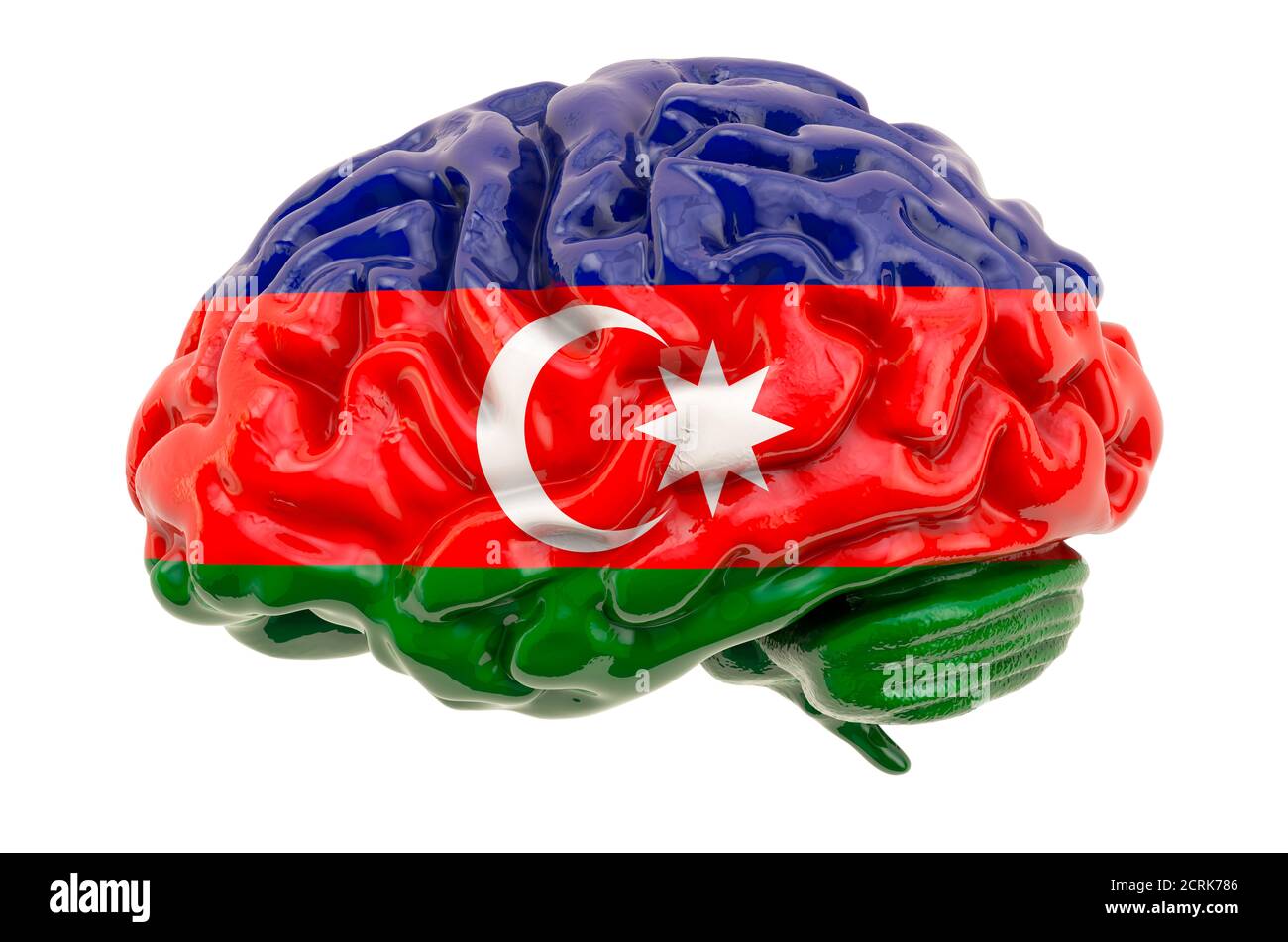 Cerebro humano con bandera azerbaiyana. Investigación científica y educación en Azerbaiyán concepto, 3D rendering aislado sobre fondo blanco Foto de stock