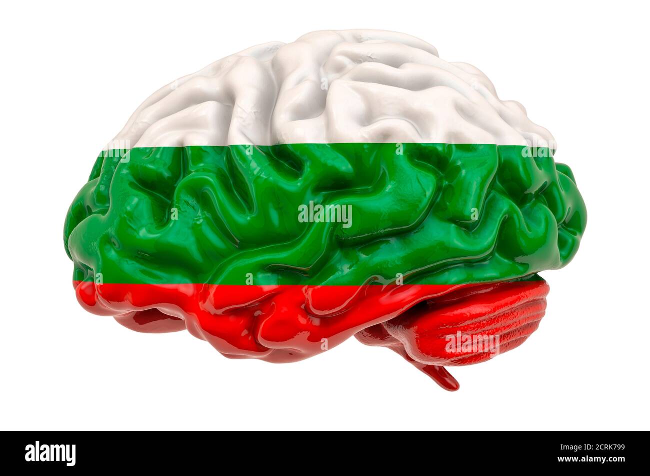 Cerebro humano con bandera búlgara. Investigación científica y educación en Bulgaria concepto, 3D rendering aislado sobre fondo blanco Foto de stock
