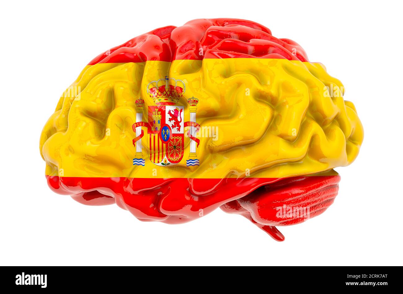 Cerebro humano con bandera española. Investigación científica y educación en España concepto, representación 3D aislada sobre fondo blanco Foto de stock