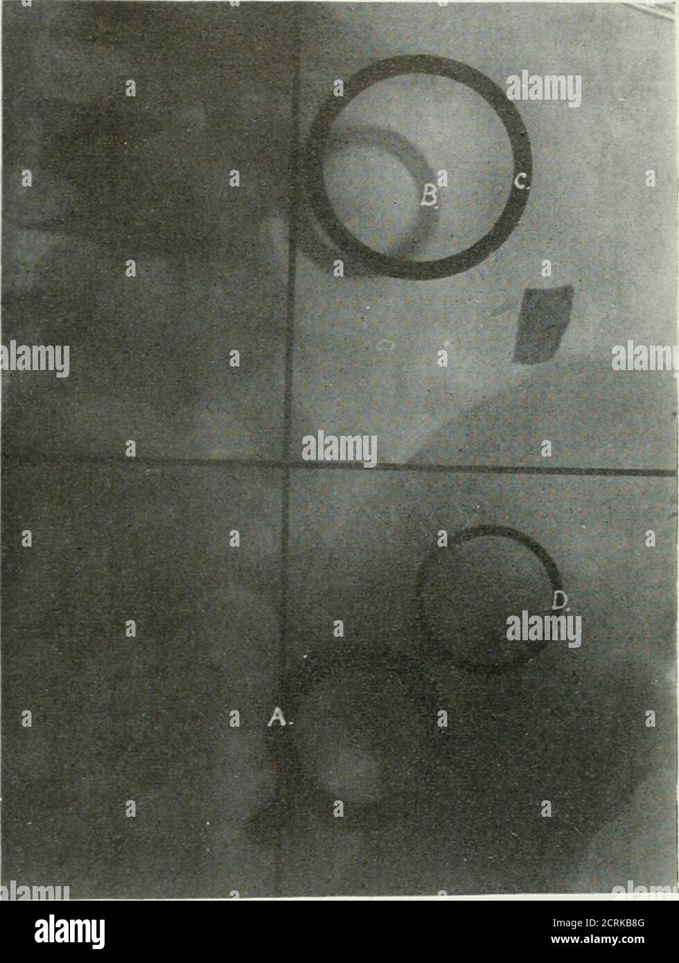 go air bolsagage policy