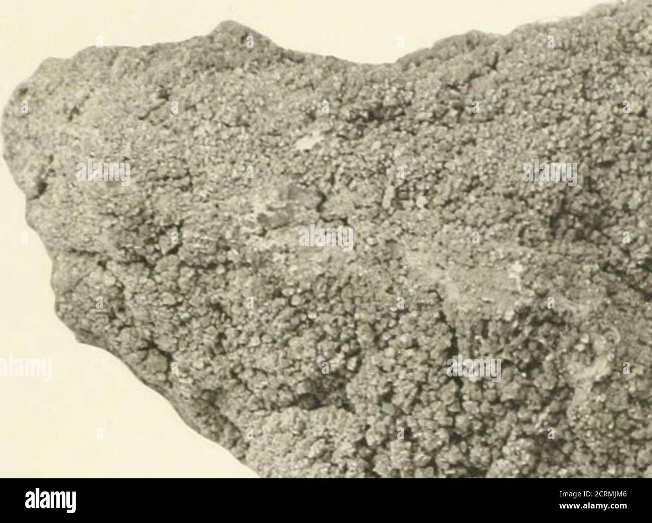 Los manantiales minerales de Japón, con tablas de análisis, actividad de  radio, notas sobre balnearios prominentes y lista de balnearios costeros y  retiros de verano, especialmente ed. Para la exposición Internacional