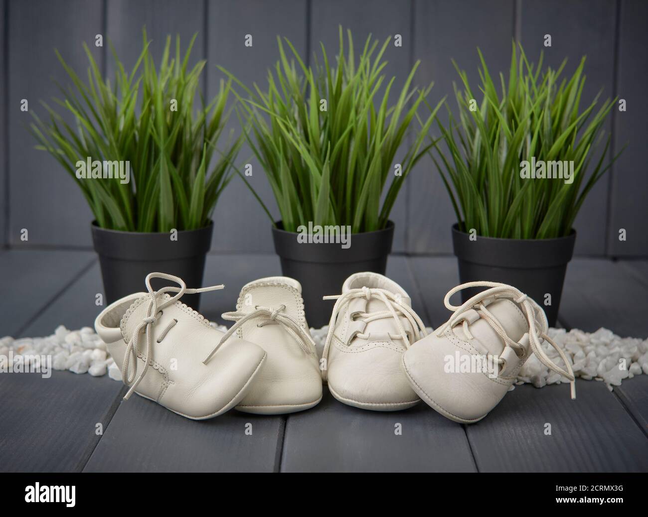 Dos pares de zapatos blancos de niño recién nacido en madera gris fondo con plantas verdes decorativas Foto de stock